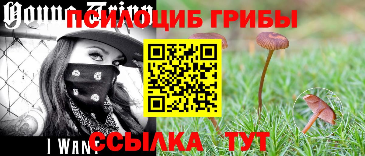Галлюциногенные грибы мицелий Грязи
