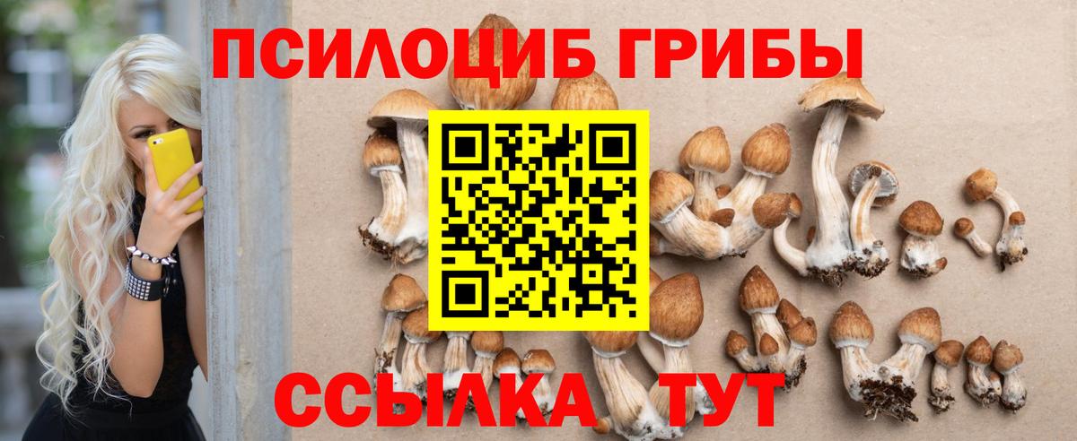 Псилоцибиновые грибы Psilocybine cubensis  Вход с VPN  Грязи 